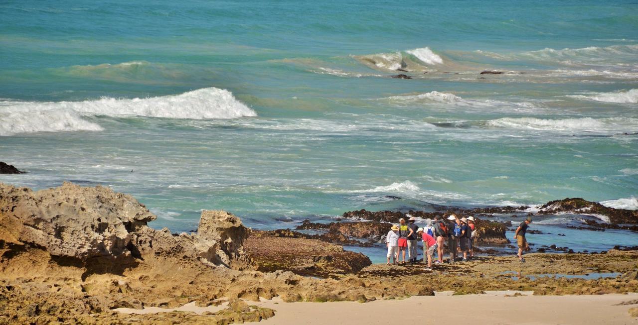 De Hoop Collection Suites De Hoop Nature Reserve Luaran gambar